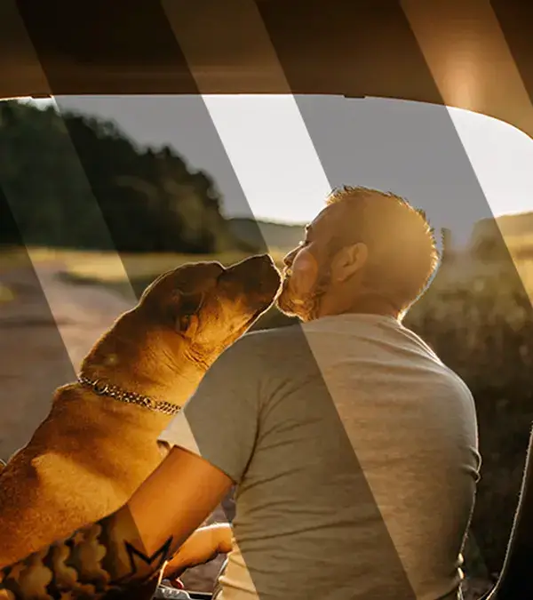 Pet Insurance